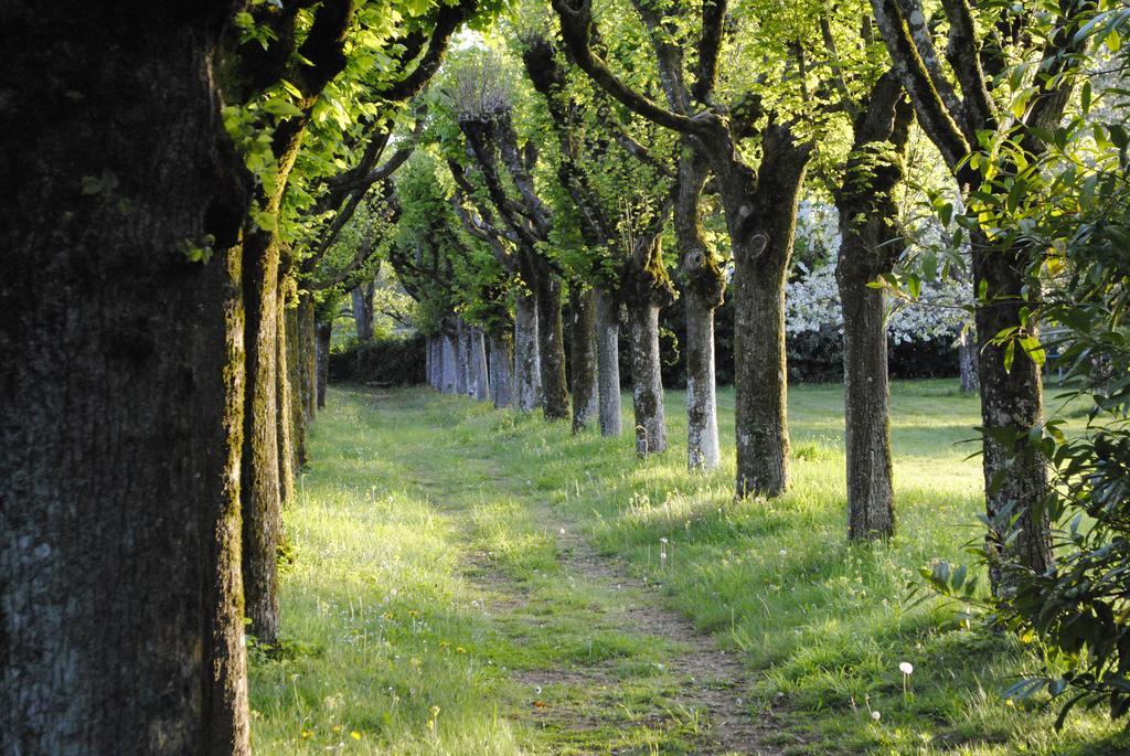 Eco-Gite - Domaine De La Gavolerie Besse-sur-Braye Bagian luar foto