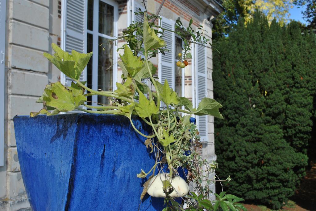 Eco-Gite - Domaine De La Gavolerie Besse-sur-Braye Bagian luar foto